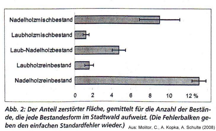 Wertholz 2.