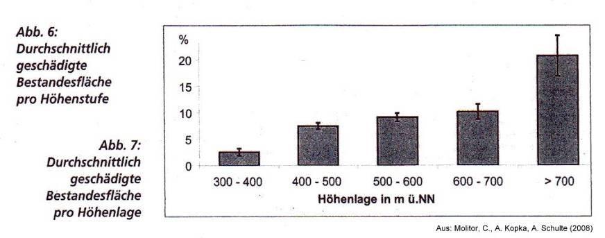 Vorratshaltung 2.