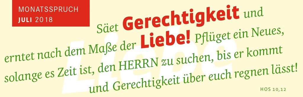 7 Kirchenmusik & Verschiedenes Jeweils jeden 1. Mittwoch im Monat um 12:00 Uhr: SilbermannOrgelPunktZwölf 30 Minuten Orgelmusik und Lesung Es spielt: 4. Juli: KMD Guido Schmiedel (Glauchau) und Pfr.