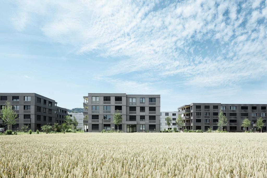 Suurstoffi Baufeld 3 / 9 Wohnhäuser GRÖSSTE HOLZBAUSIEDLUNG DER INNERSCHWEIZ Neun viergeschossige, pavillonartige Punkthäuser bilden ein Quartier im Quartier Suurstoffi mit