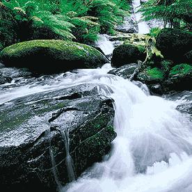 Leitbild der Wasserrahmenrichtlinie Leitbild der Richtlinie ist der