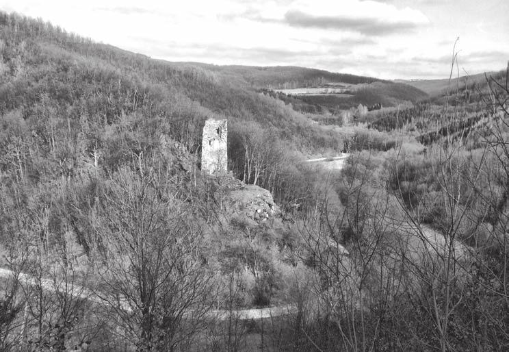 Obr. 1. Celkový južný pohľad na situáciu veže v údolí Žitavy. Foto M. Bóna.