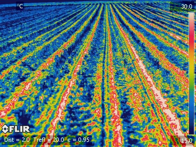Thermographie, Strip Till Mais, 17.04.