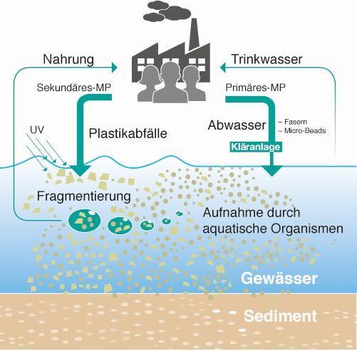 FRAUNHOFER UMSICHT NIMMT STELLUNG: THEMA MIKROPLASTIK Fraunhofer UMSICHT Stellungnahme von Fraunhofer UMSICHT zu Mikroplastik Hintergrund Schlagzeilen wie»mikroplastik überfordert