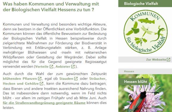 Kommunale Aktivitäten zur Insektenförderung Mögliche Aktivitäten sind beispielsweise zu entnehmen: Der mit zahlreichen Links versehene Startseite für Kommunen und Verwaltung in der Homepage der Hess.