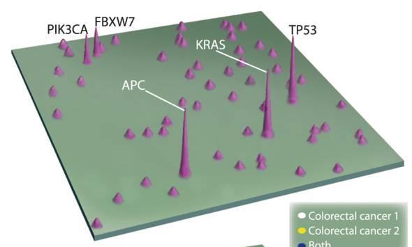 Cancer Genome Landscapes Genes mutated in