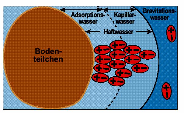 2 Bild 3: Bodenteilchen mit Bodenwasser / Bindungsarten, n. Kögel- Knabner Haftwasser = Bodenfeuchte () Adsorptionswasser (1)Van-der- Waalschen Kräfte u.