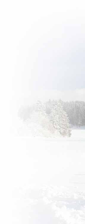 Wer an einem solchen Wintertag schon einmal über die offene Alblandschaft auf den Höhen des Heubergs ganz im Südwesten der Schwäbischen Alb gegangen oder gar auf Langlaufskiern über eine der
