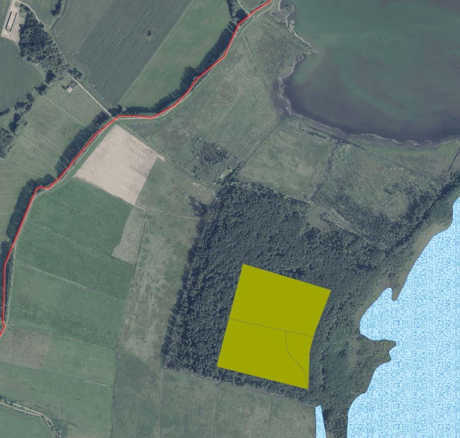 2. Kurzvorstellung des GGB Galenbecker See 91E0 * Auen-Wälder Vorkommen im FFH-Gebiet: 1 Vorkommen nordwestlich des Galenbecker Sees (im Luftbild