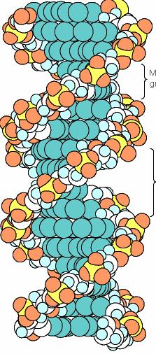 Der Weg des Lebens Sequenz Proteine Netzwerke Organismus Ulf