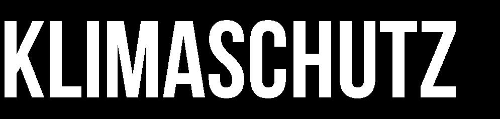 Flugreisen belasten die Umwelt stark durch den Ausstoß von CO 2.