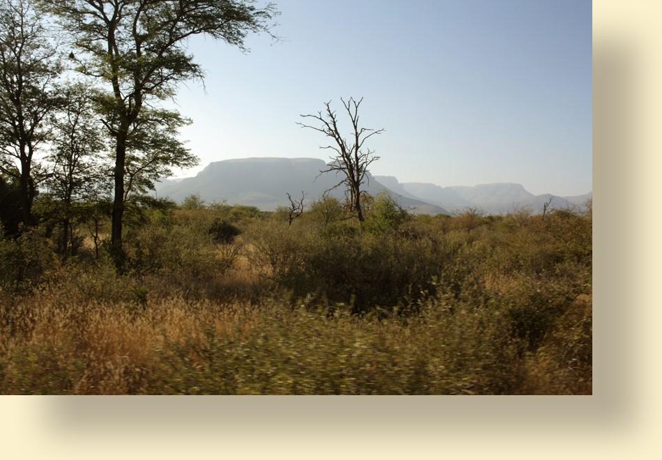 Die Republik Südafrika bietet dem Auslandsjäger die größte Artenvielfalt an jagdbarem Wild der Erde.