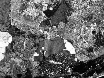 Archaeologia historica 40, 2, 2015, 711 731 a b c d Obr. 6. Výbrusy kameňov pozorované pod mikroskopom (šírka zorného poľa 2 mm). a vzorka č. 1, 13.