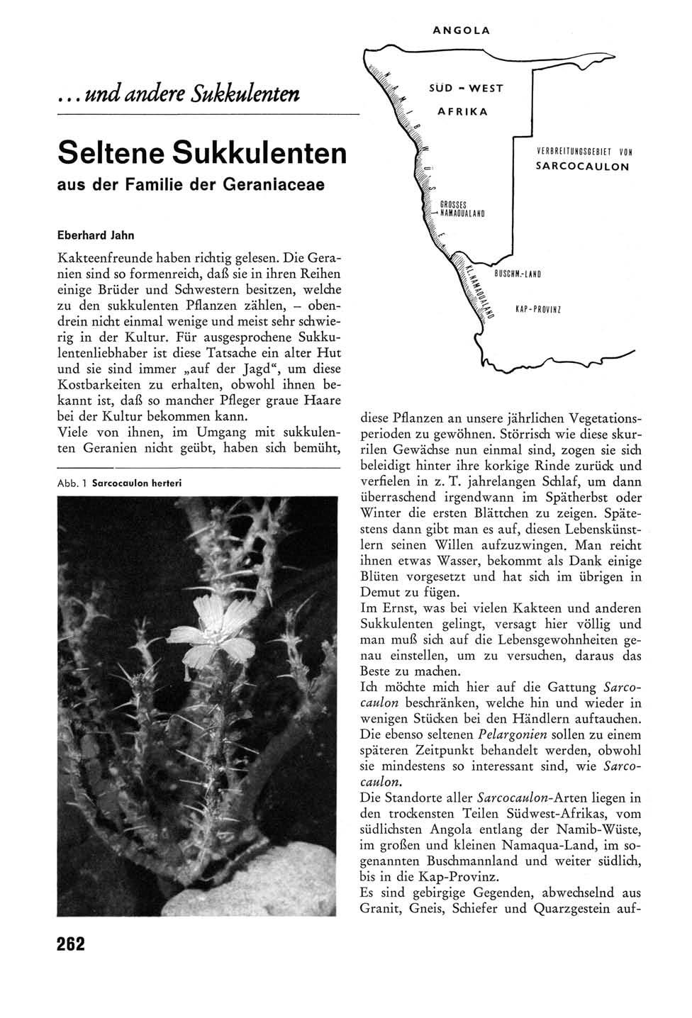 ... und andere Sukkulenten Seltene Sukkulenten aus der Familie der Geraniaceae Eberhard Jahn Kakteenfreunde haben richtig gelesen.