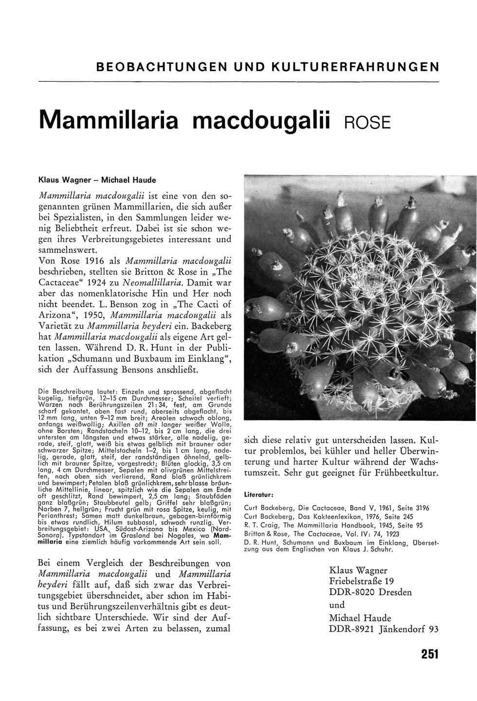 BEOBACHTUNGEN UND KULTURERFAHRUNGEN ammillaria macdougalii ROSE Klaus Wagner - ichael Haude ammillaria macdougalii ist eine von den sogenannten grünen ammillarien, die sich außer bei Spezialisten, in