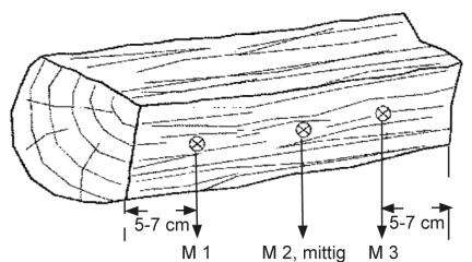 Abb. 16: Einschlagen der Wöhler Einschlagsonde Bilden des Mittelwertes Die Messung an Holz erfolgt quer zur Faserrichtung, d.h. die Verbindungslinie zwischen den Messspitzen kreuzt die Fasern.
