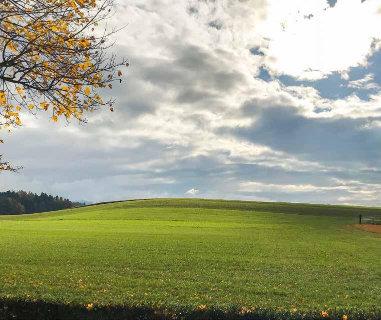 Bauqualität Das Haus wird in reiner Holzbauweise erstellt. Dank der dampfdiffusionsoffenen Bauweise herrscht ein optimales Raumklima, welches durch eine Komfort-Lüftung unterstützt wird.