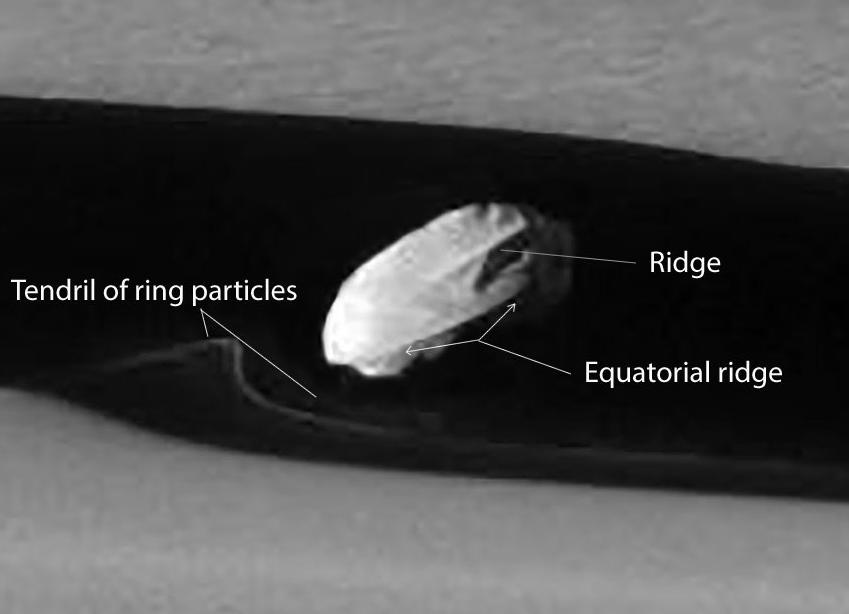 3 Die Umgebung des Saturnmondes Daphnis im Bereich der Keeler-Lücke im Detail. Die Detailaufnahmen bzw.