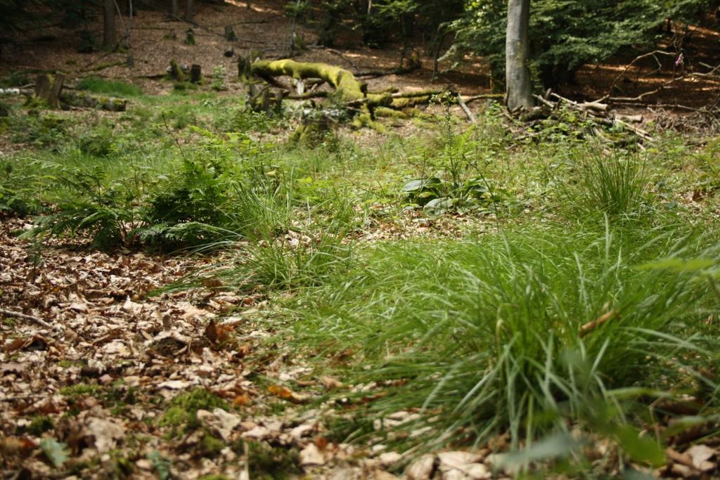 Gute Voraussetzung für Nationalparke! Nationalparkregionen be