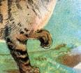 Geselligkeit und Zahmheit beliebt: Die ägyptische Katze begann etwa vor 3.