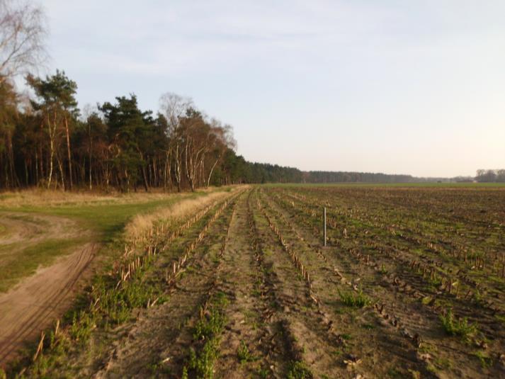 Umsetzung des kommunalen Biotopverbunds im Landkreis Emsland am Beispiel von