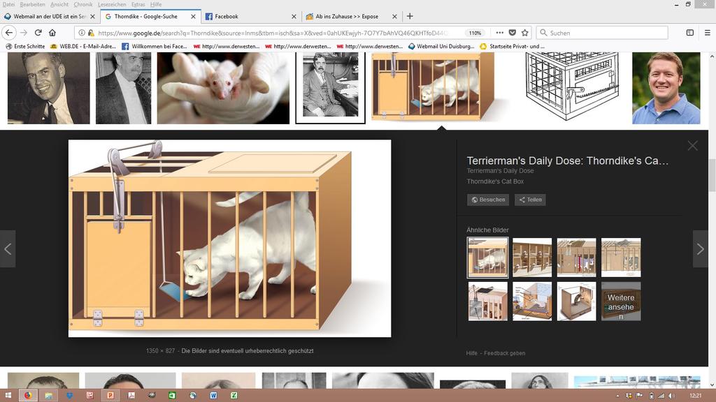 Operante Konditionierung (nach Thorndike) Experiment Sobald Thorndike eine Katze in den Käfig setzte, beschwerte sich das Tier über den Freiheitsentzug durch Kreischen, Kratzen und Beißen.