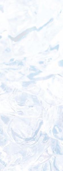 Art. Gams tiefgekühlt - chamois deep frozen 5500 5506