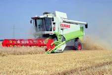 Kalkbilanz im Ackerbau Kalkverbrauch der Böden Mitteleuropas Neutralisation+Auswaschung: