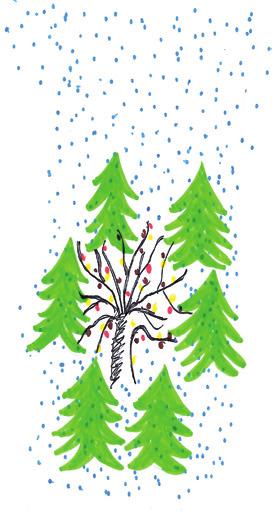 21. Dezember 2018 Kindertreff/Lilienstraße Weihnachtsbaum für Vögel Wir packen unsere Futteraufhängungen ein, die wir gestern so schön vorbereitet haben, und machen uns auf den Weg in den Wald!