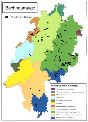 HESSEN-FORST Artensteckbrief Stand: 2003 weitere