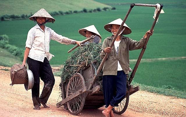 Tourcharakter + Voraussetzungen: (*) Natur-und Kulturreise. Wir erfahren und erkunden Vietnam von Süden nach Norden.