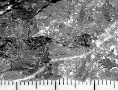 riečno-jazerné štrky, ktoré rozplavili jablonické zlepence. 3 Pliocénne štrky s obliakmi kremencov sa nachádzajú v okolí Naháča.