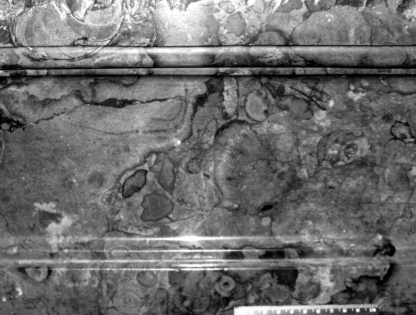 oltárov i bočné časti menzy hlavného oltára. Menza Oltára sv. Jozefa je celá sivá a menza Oltára sv. Pavla Pustovníka sivá až béžová (Grauschnöll).