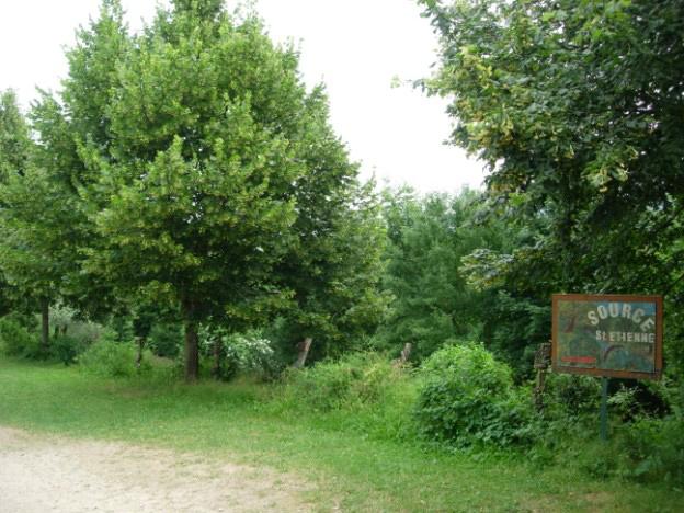 7.3 Symbole Sprache des Glaubens Teil 7 7.3.7/M1* Der Baum als Symbol in den Weltreligionen Baum Redewendungen und Zitate aus gutem Holz geschnitzt sein Der Apfel fällt nicht weit vom Stamm.