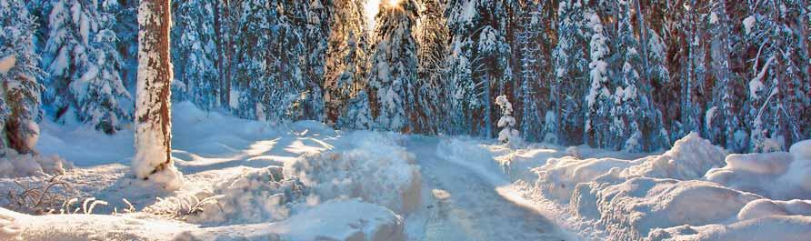 Engadin Scuol und Val Müstair Eisweg Engadin 23.12.18 ca. Ende Februar 19 Entdecken Sie die märchenhafte Winterlandschaft auf dem 3 km langen Rundkurs von Sur En dem Inn und dem Skulpturenweg entlang.