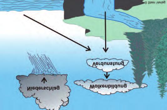 Der Wasserkreislauf Die Wolken 27 Obwohl er kein integraler Bestandteil der Wettervorhersage ist, spielt der Wasserkreislauf eine entscheidende Rolle bei der Bildung von Wolken und dem möglichen
