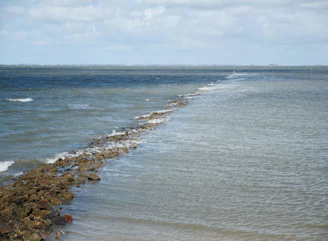sucht, wie die Flächen im Inneren von Hallig Langeneß mit mehr Meeressediment versorgt werden können und damit ein stärkeres Oberflächenwachstum ermöglichen (Jensen 2014).