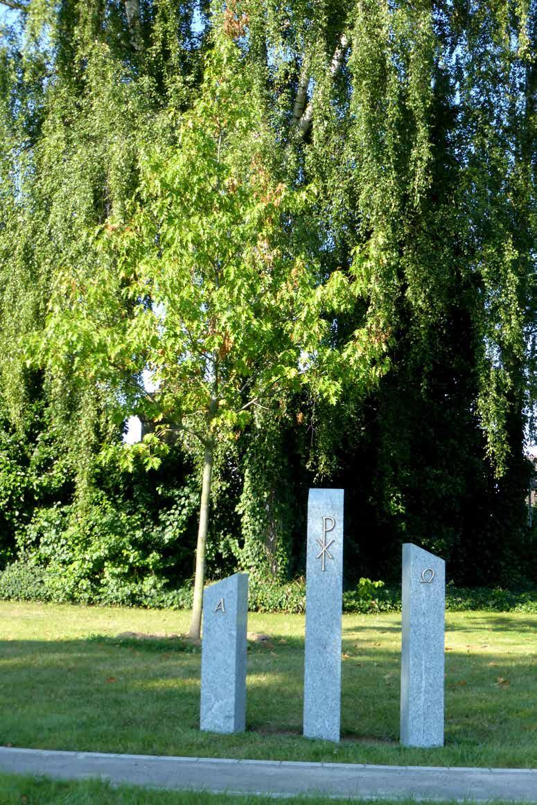 Friedhof Emmern Seit den sechziger Jahren prägen Birken und Rotdorne den Anblick des Emmerschen Friedhofs.