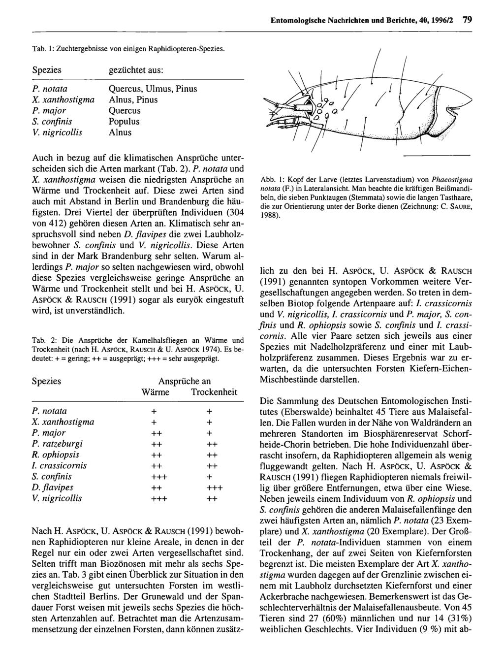 Entomologische Nachrichten und Berichte; download Entomologische unter www.biologiezentrum.at Nachrichten und Berichte, 40,1996/2 79 Tab. 1: Zuchtergebnisse von einigen Raphidiopteren-Spezies.