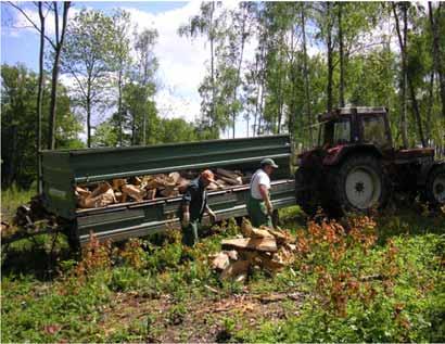 Waldbewirtschaftung - Holzwirtschaft Nachhaltige Waldbewirtschaftung : Nachhaltige