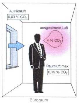 1. Grundlagen CO2 CO2 Gehalt der Raumluft 1.