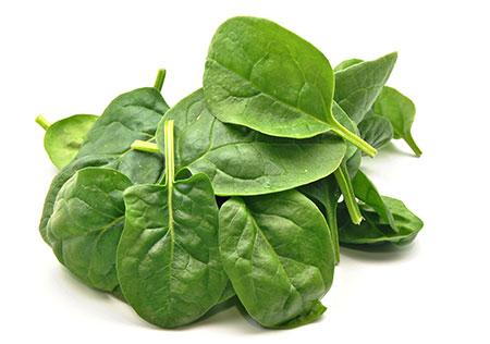 Bei Grüne Smoothies Rezepte mit Spinat ist zu beachten, vorwiegend Babyspinat zu verwenden. Erwirb diesen am besten frisch in Bio Supermärkten in 125g- Einheiten.