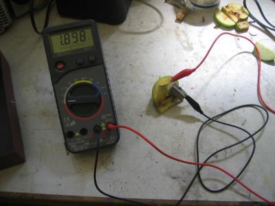 Goldmünze und Spitzer (Magnesium) in einem Apfel ergibt 1,898V Spannung Erkenntnis 4: Anderes Elektrolyt ergibt anderen Stromfluss.