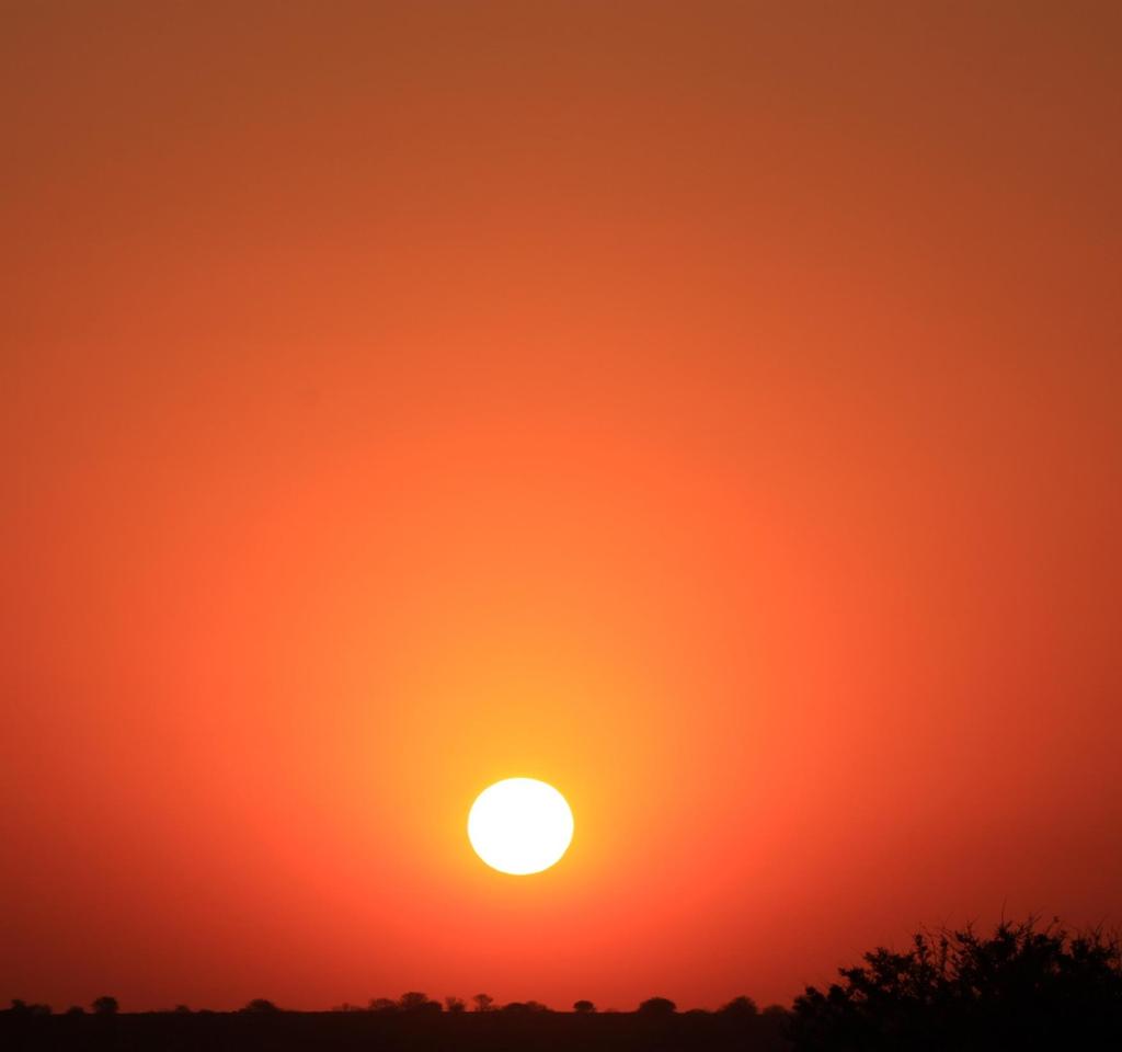 Nutzen auch Sie die unerschöpfliche Kraft der Sonne Martin Lehmann-Dannert ECO - I Ökologische