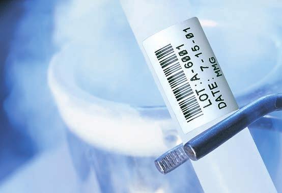Kennzeichnung von Kryoproben Anwendung Die FreezerBondz Etiketten von Brady wurden speziell für die Kennzeichnung von Laborproben entwickelt, die für die Kryolagerung vorgesehen sind.