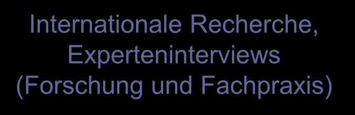 Experteninterviews (Fachpraxis)