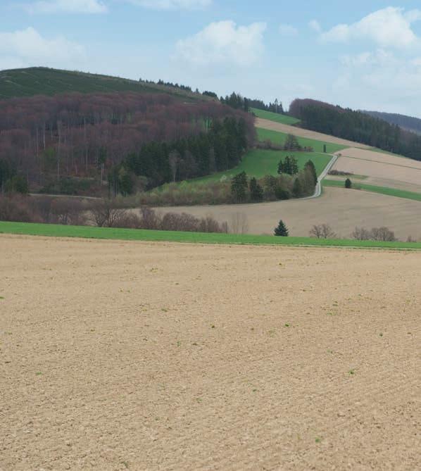 Einfach. Sicher. Zuverlässig. CLAAS Service und Wartung. Der ELIOS 200 beweist höchste Einsatzbereitschaft.