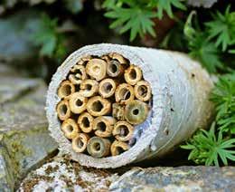 UNTERKUNFT GEÖFFNET! Auch das Schaffen von Nistmöglichkeiten lockt Bienen in den Garten.