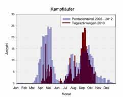 Der Herbstdurchzug fiel ähnlich wie in den Vorjahren aus. Bekassine - Gallinago gallinago 03.01. 22.05. und 18.07. 30.12., max.