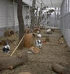 - 12 -... 4. Leitung der Auffangstation Die Tierhilfe Ratingen e.v. fungiert in der Rolle des Trägers der Tierauffangstation und stellt die Leitung. Der zu erfüllende Sachkundenachweises gem.